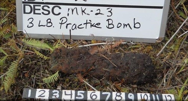Image of a rusty practice bomb found at the Former Popoki Target Area